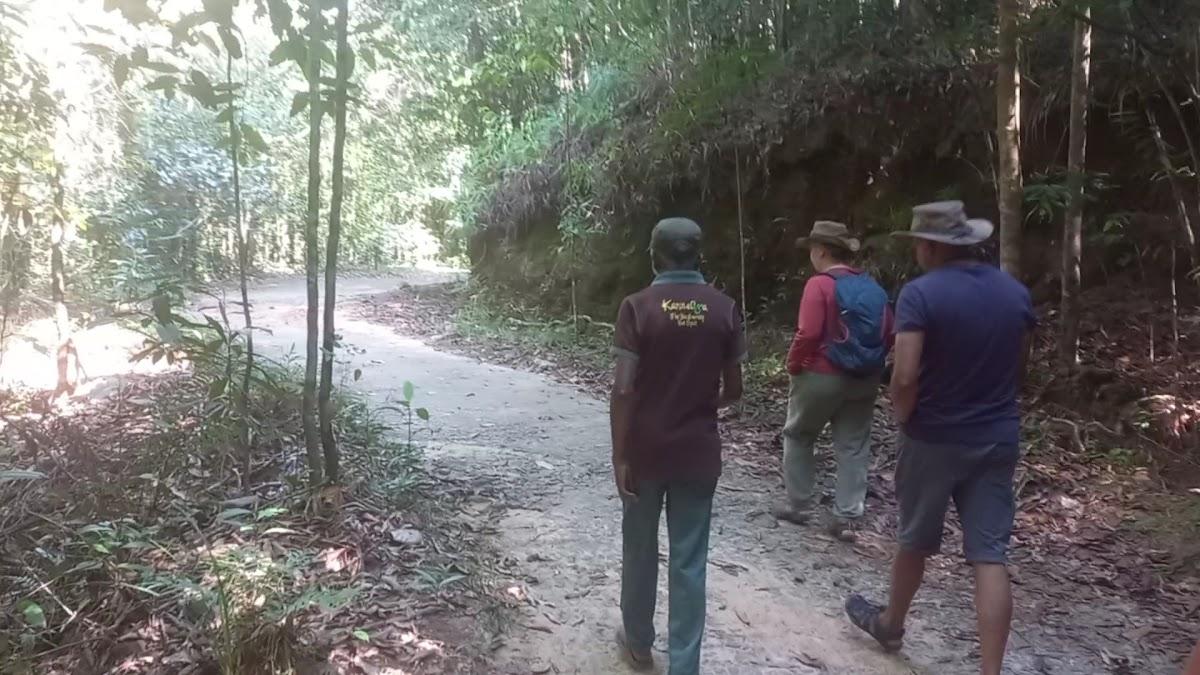 Kanneliya Forest Resort – photo 2