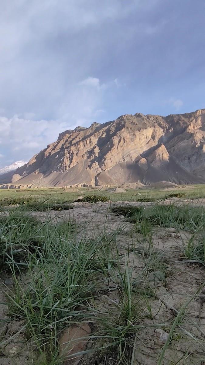 Sarchu – photo 2