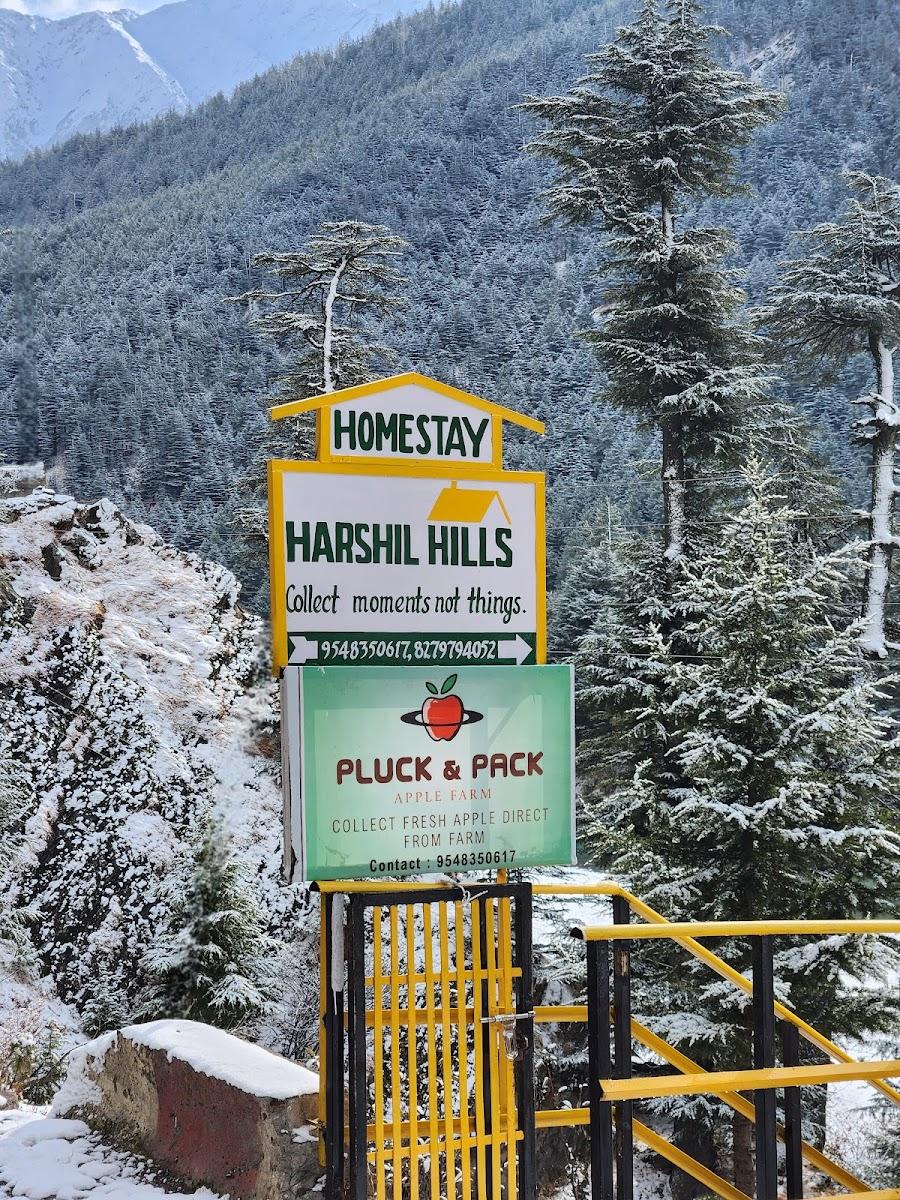 Harshil Hills Homestay – photo 3