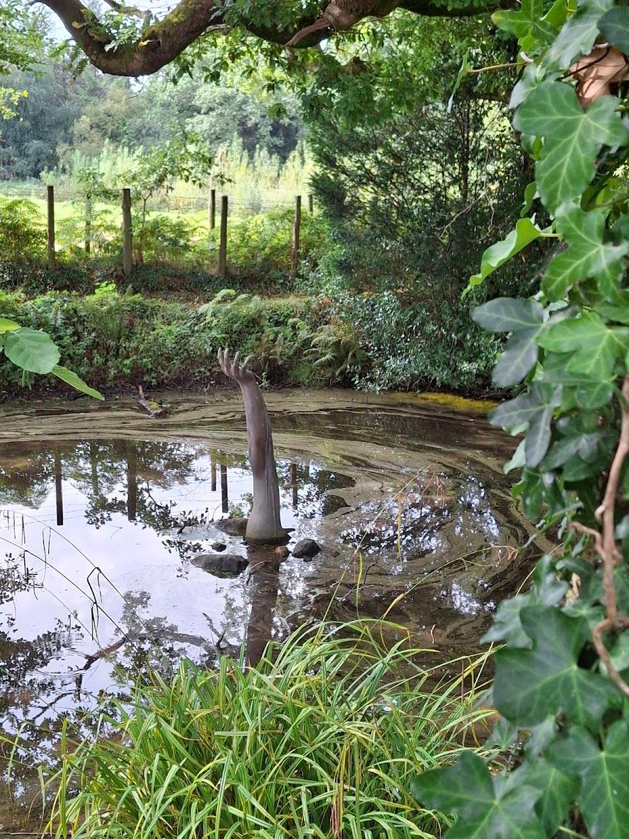 Parc Glynllifon – photo 2