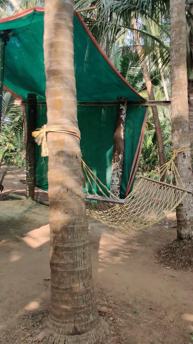 Betel wood Home stay – photo 1