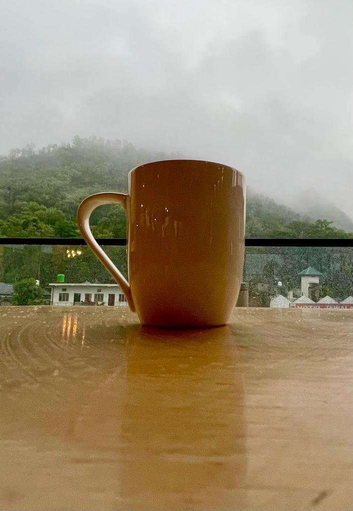 Hotel Himalayan Regency – photo 1