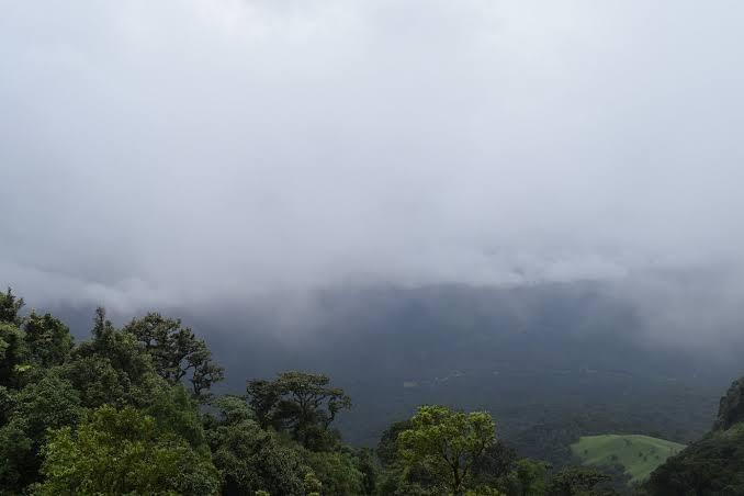 Coorg Hills Plantations – photo 4