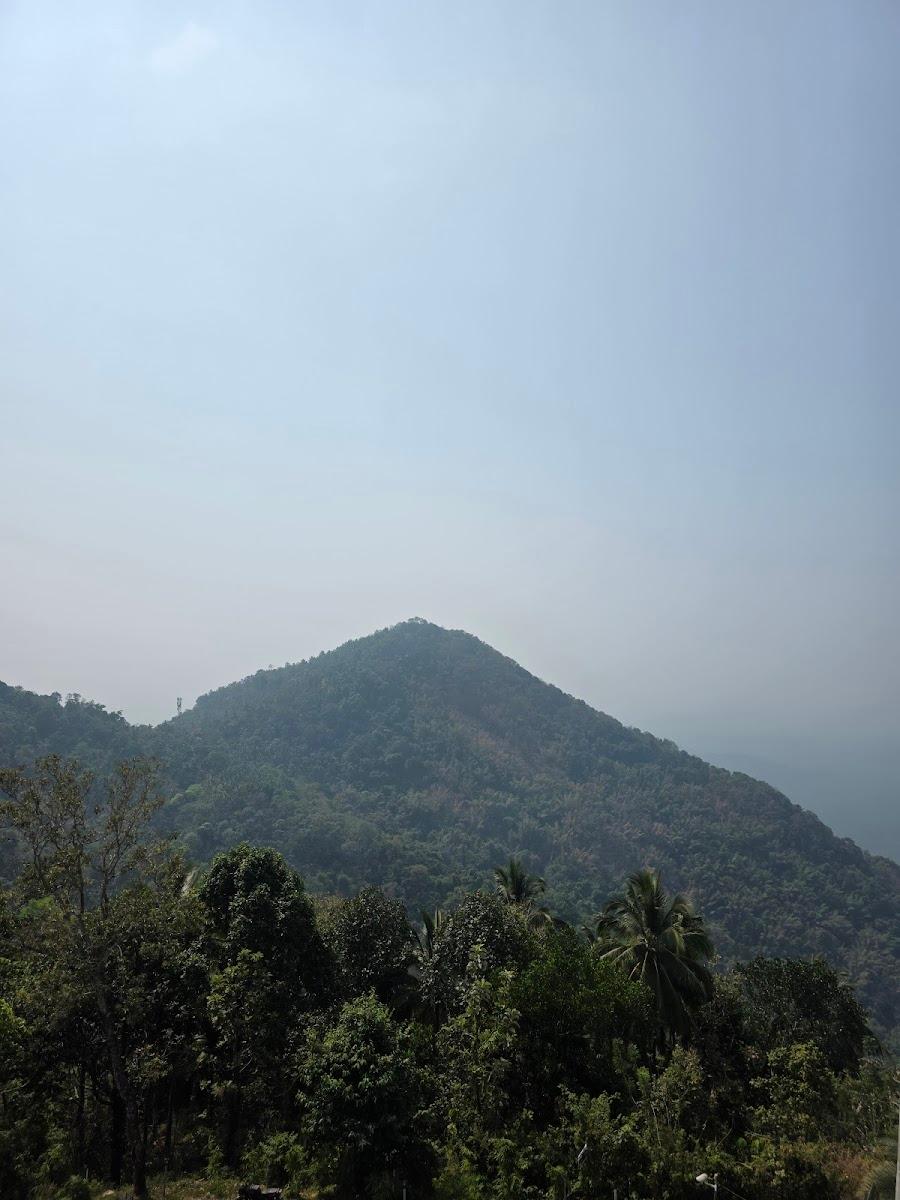 Mount Stratus Resort Vayalada – photo 4