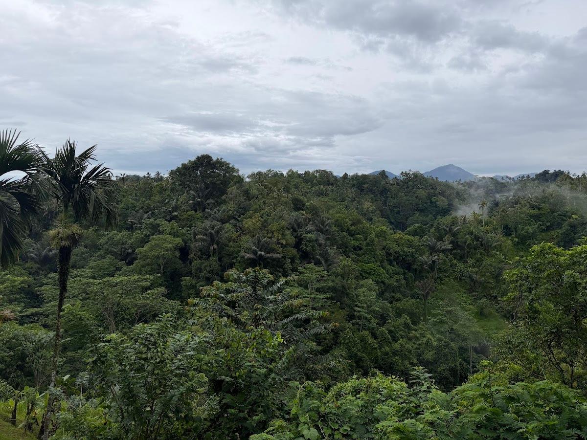 Buahan, a Banyan Tree Escape – photo 4