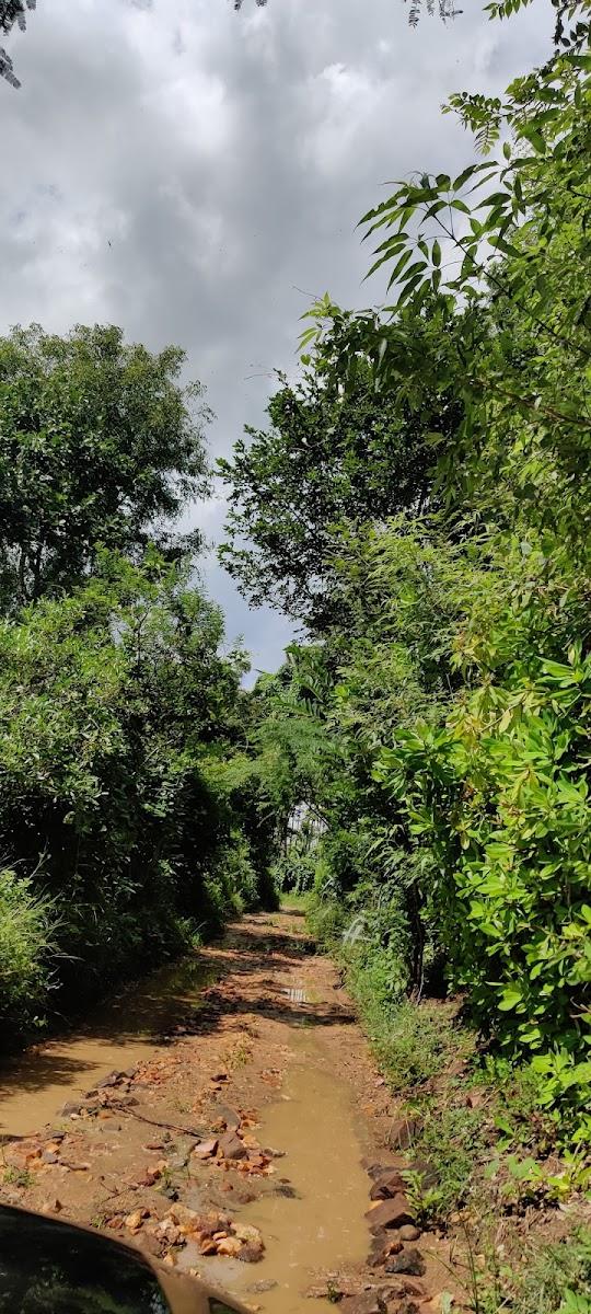 The Lilac Farm – photo 3