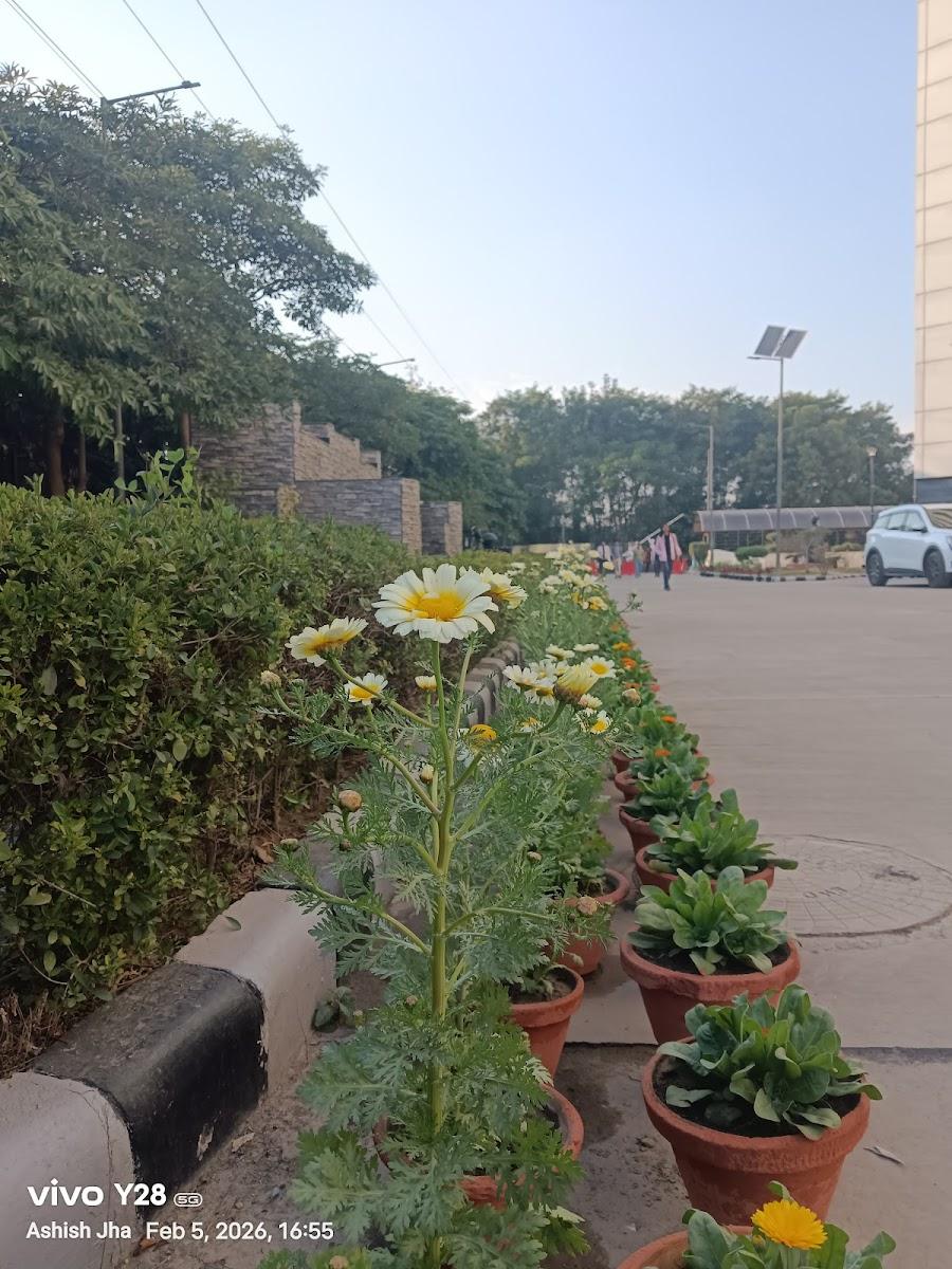 Rohini sector 16 – photo 2