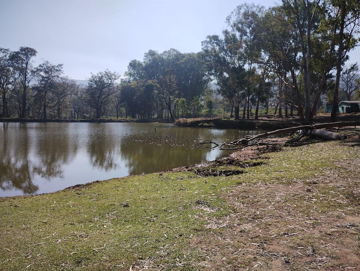 K Gudi Wilderness Camp-Jungle Lodges – photo 4