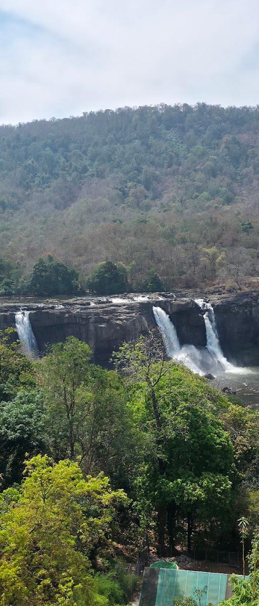 Flora Misty Falls Athirappilly – photo 4