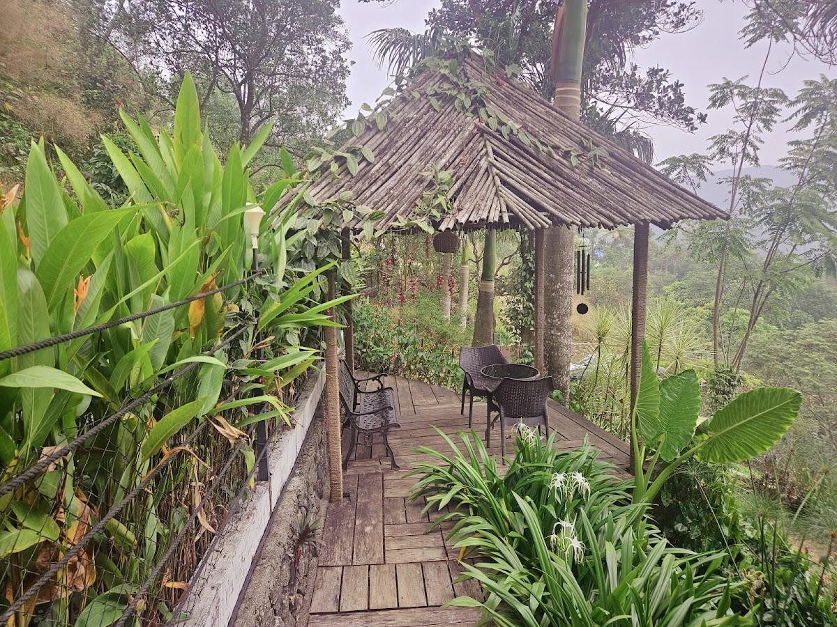 Tea & Tranquility – photo 2