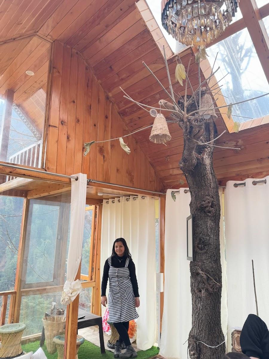 Glass Treehouse and cottages – photo 2