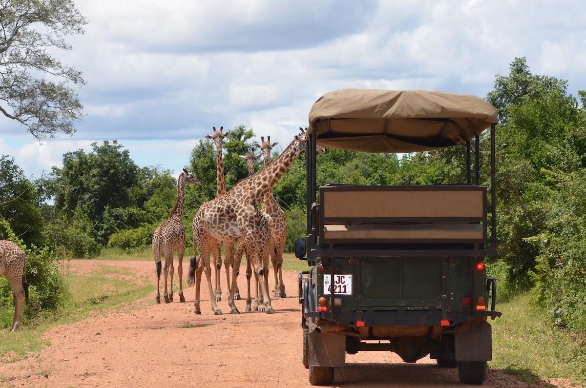 Chichele Presidential Lodge Zambia – photo 3