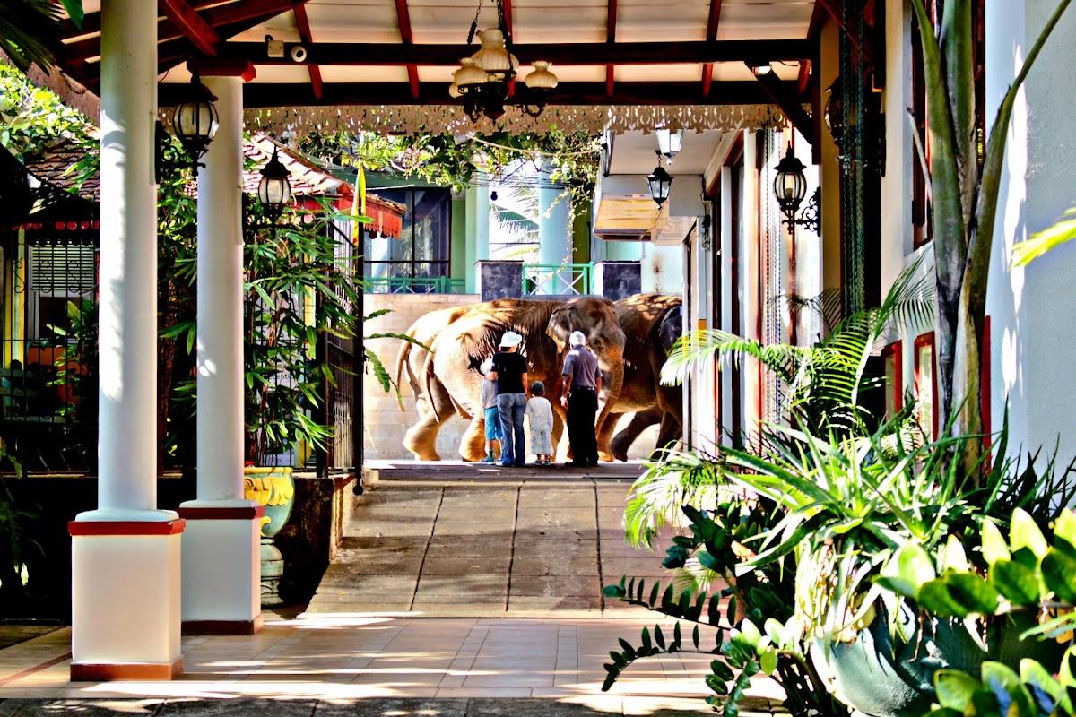 Green Land Guest House – photo 1