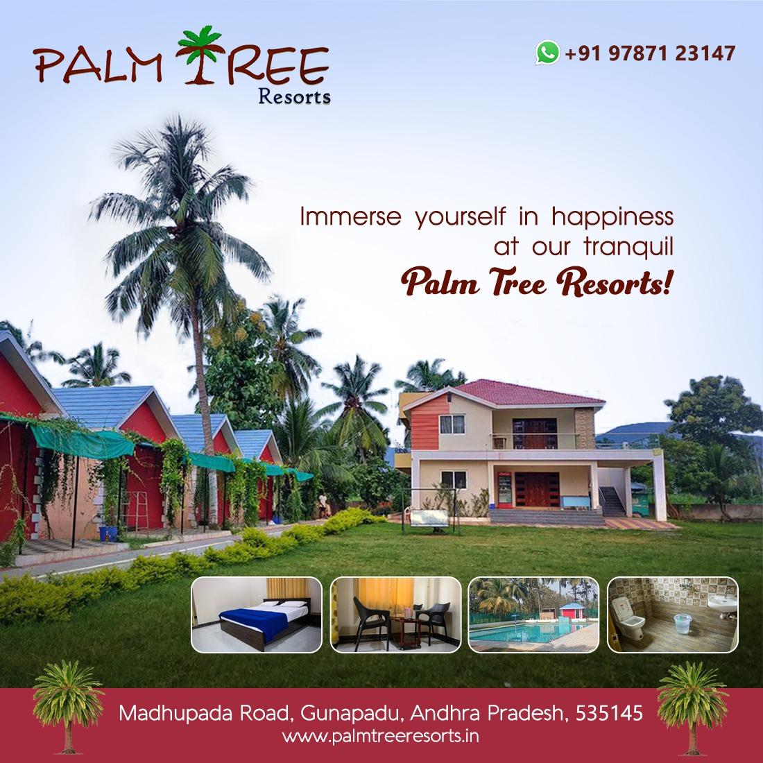 PALM TREE RESORTS – photo 4