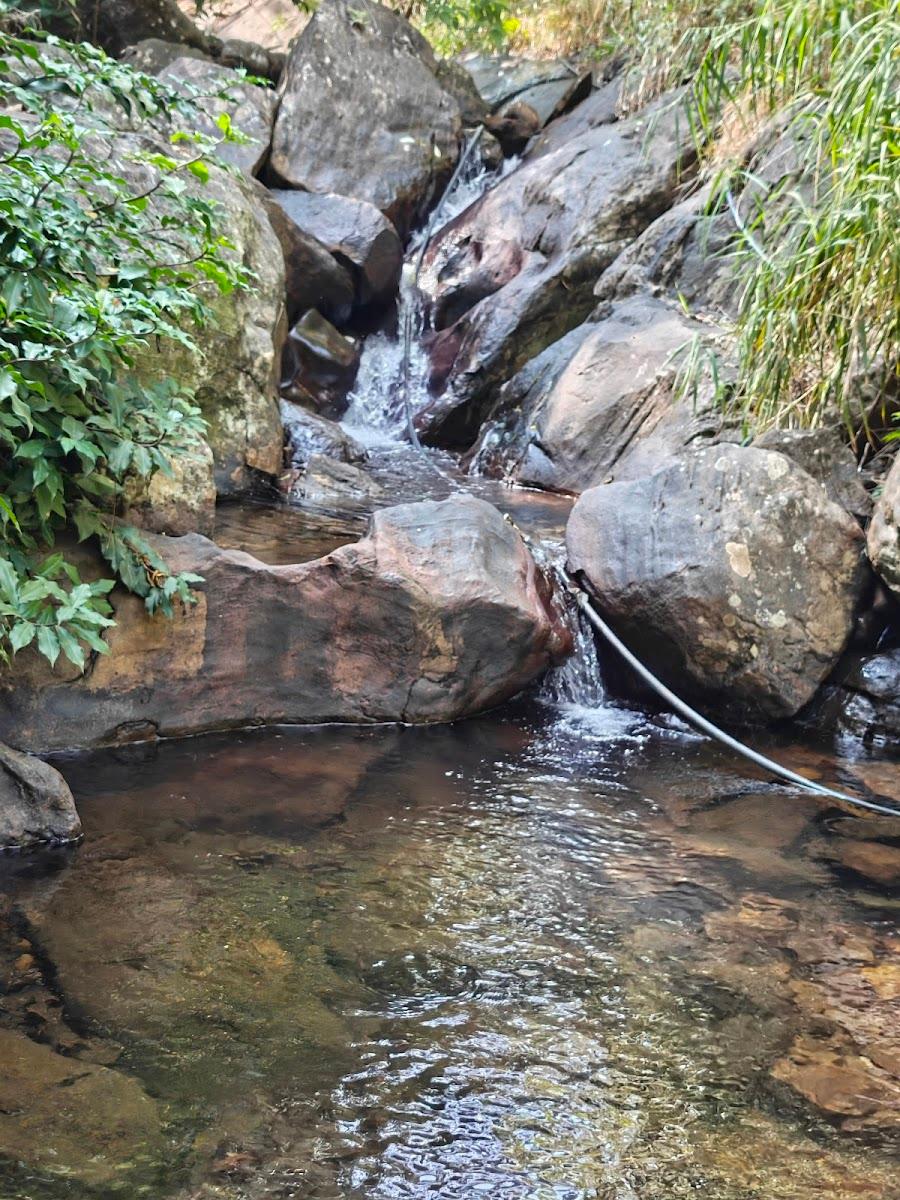Banasura Jungle Resort by Z Vacations – photo 2