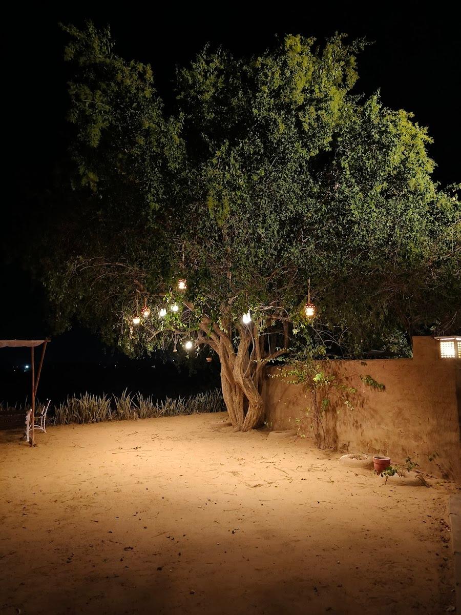 The Desert Resort, Mandawa – photo 3