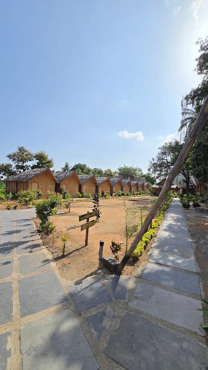 Tranquil Hampi – photo 3