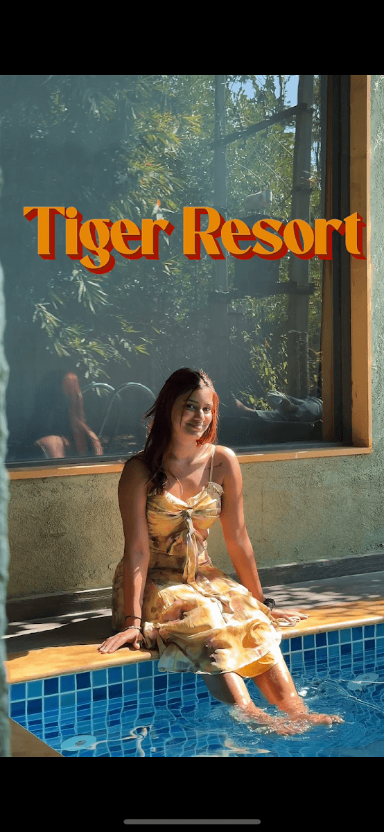 Saiprasad Tiger Resorts - Pench – photo 3