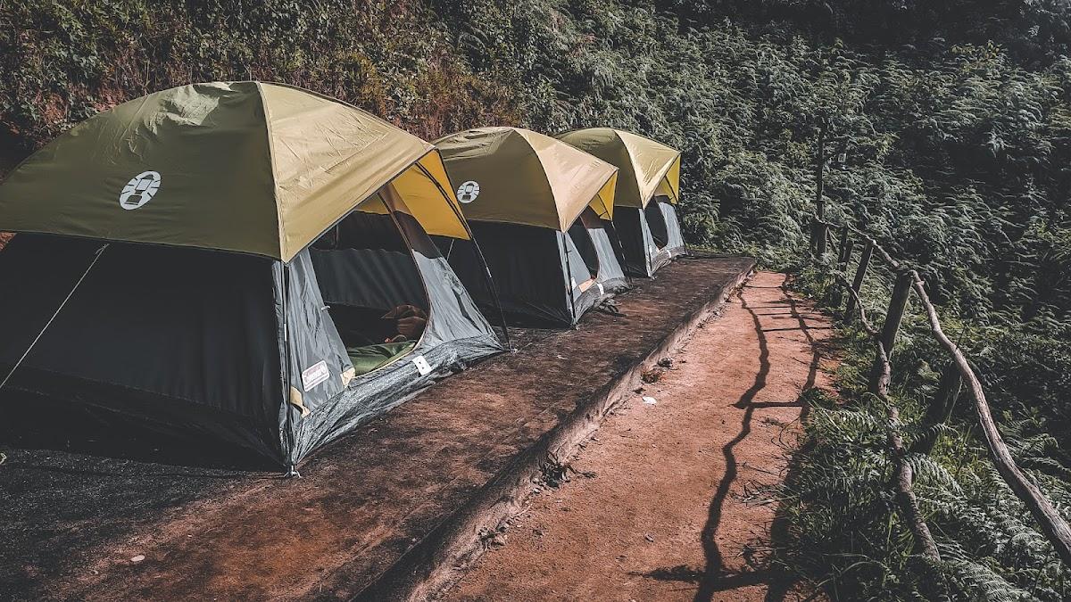 Cloud Farm Munnar