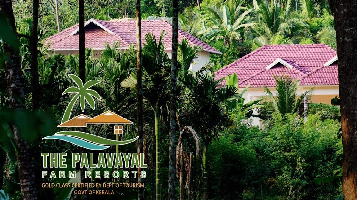 The Palavayal Farm Resorts – photo 1