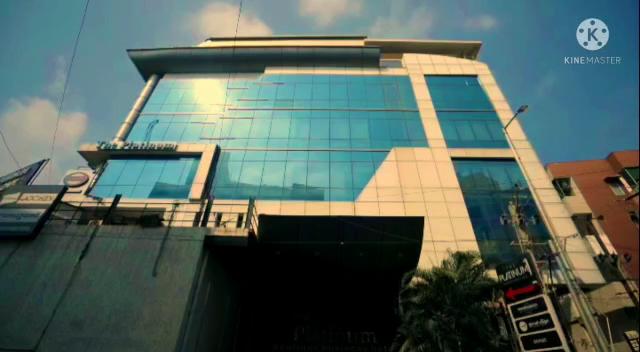 The Platinum Business Hotel – photo 2