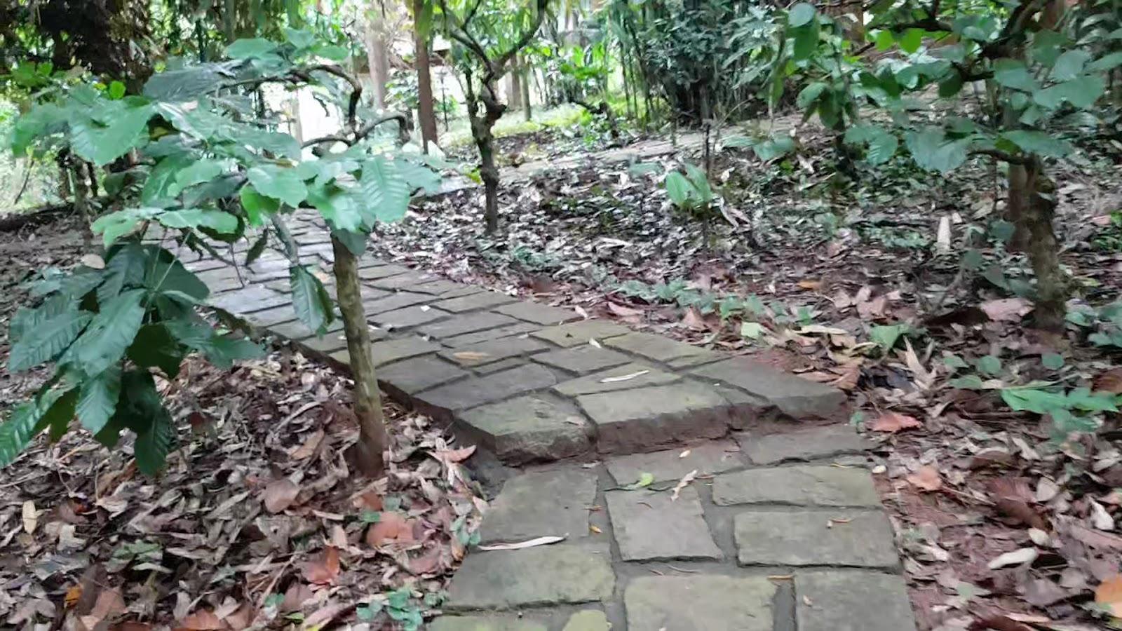 Coffee Acres Wayanad – photo 2