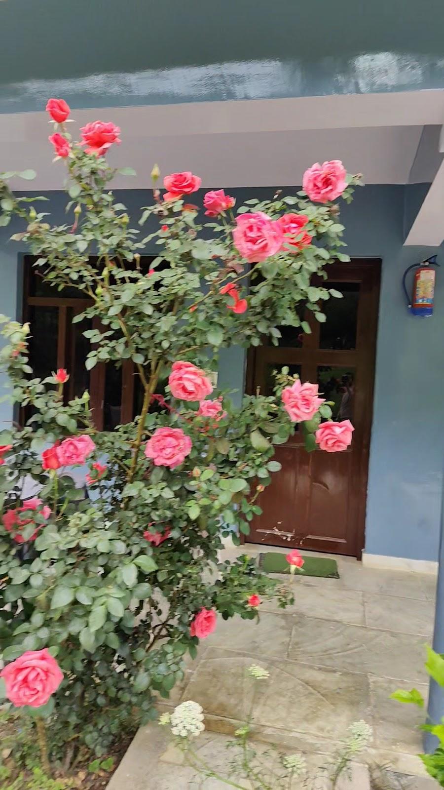 Jageshwar Dham - Inn & Estates – photo 2