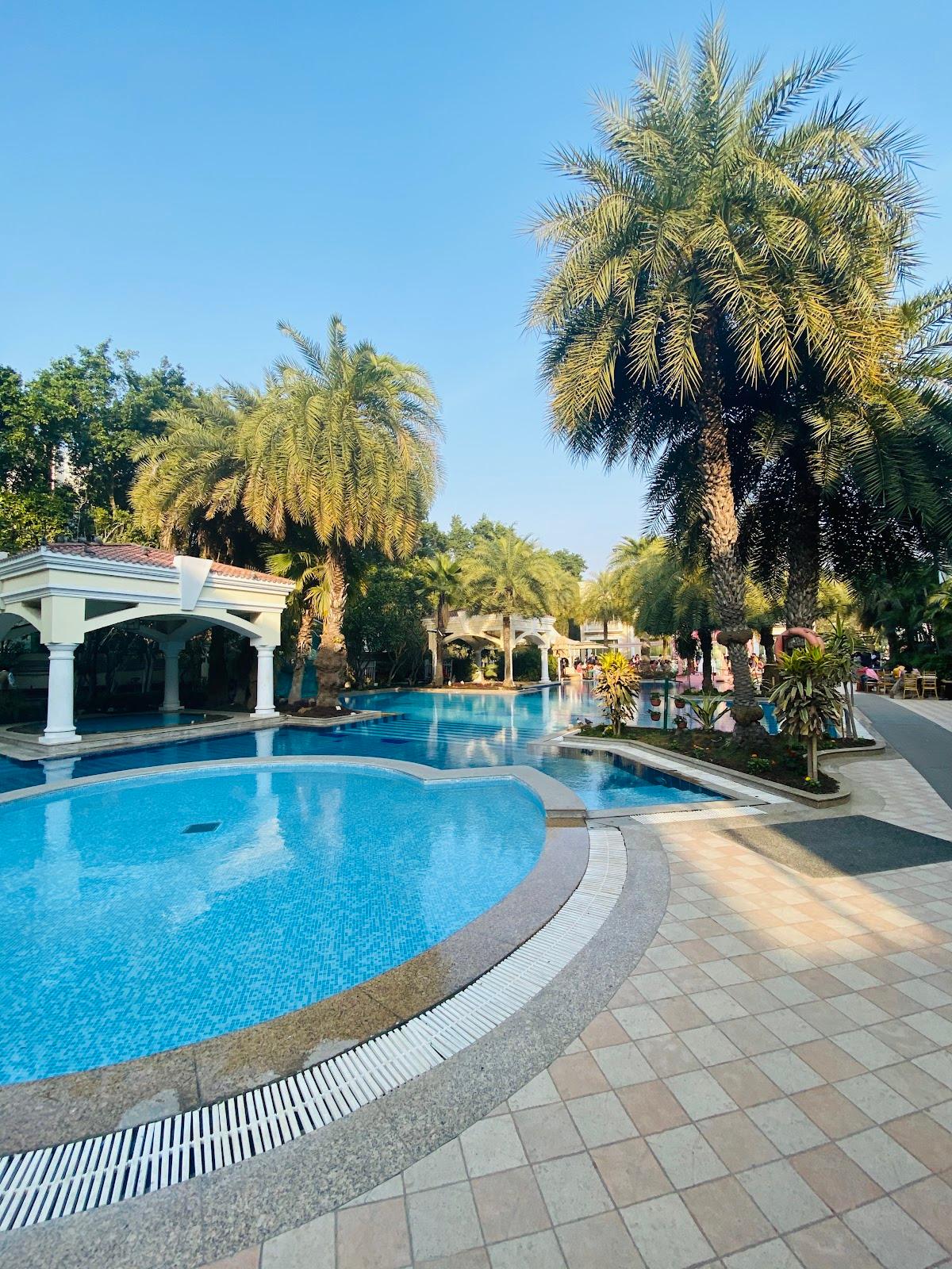 The Palms Town & Country Club – photo 4