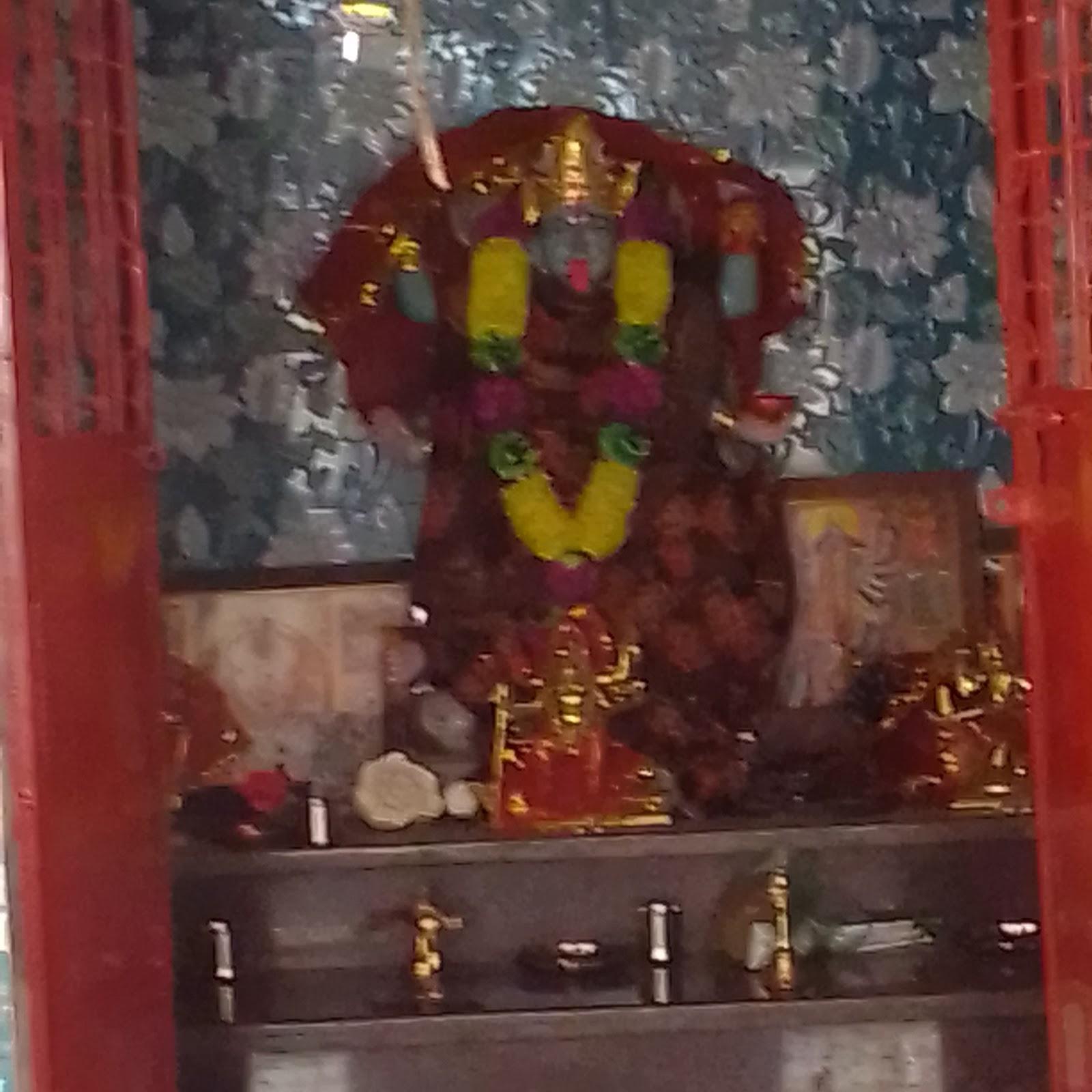 Satna maihar – photo 1