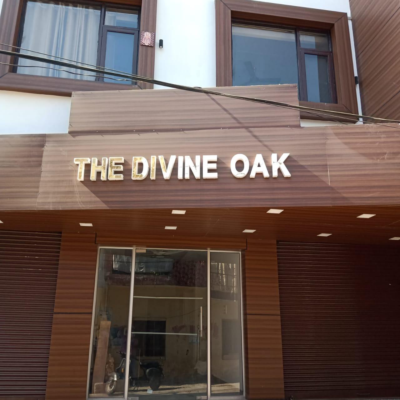 The Divine Oak – photo 4