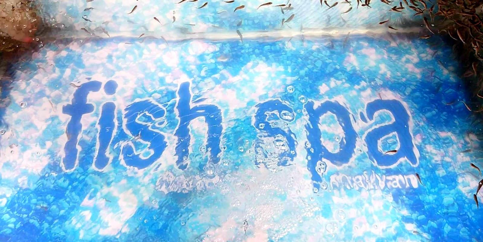 FISH SPA Harikrupa – photo 4