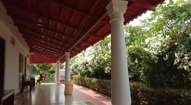 Bougainvillea Homestay – photo 2