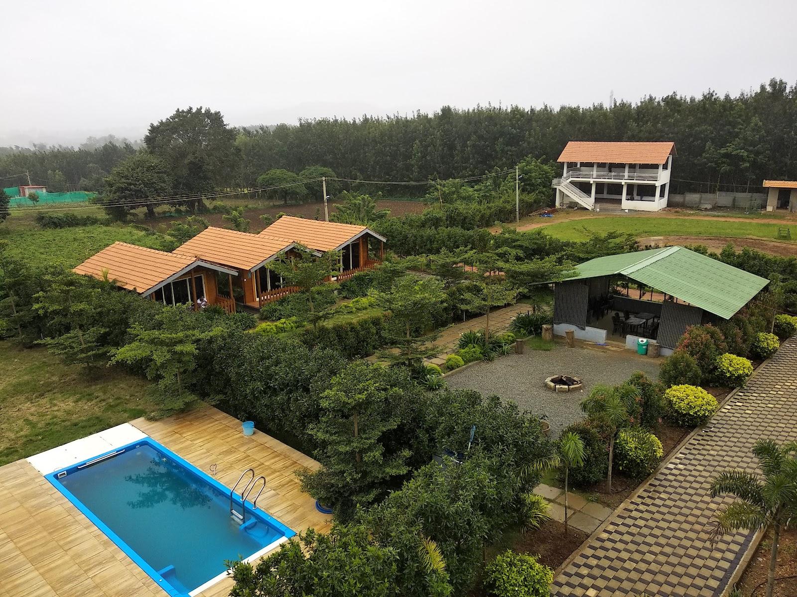 Trippr Chikkamagaluru – photo 3