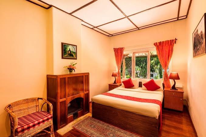 Teanest by Nature Resorts – photo 3