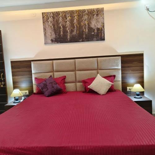 Narayan Palace Luxury Homestay – photo 4