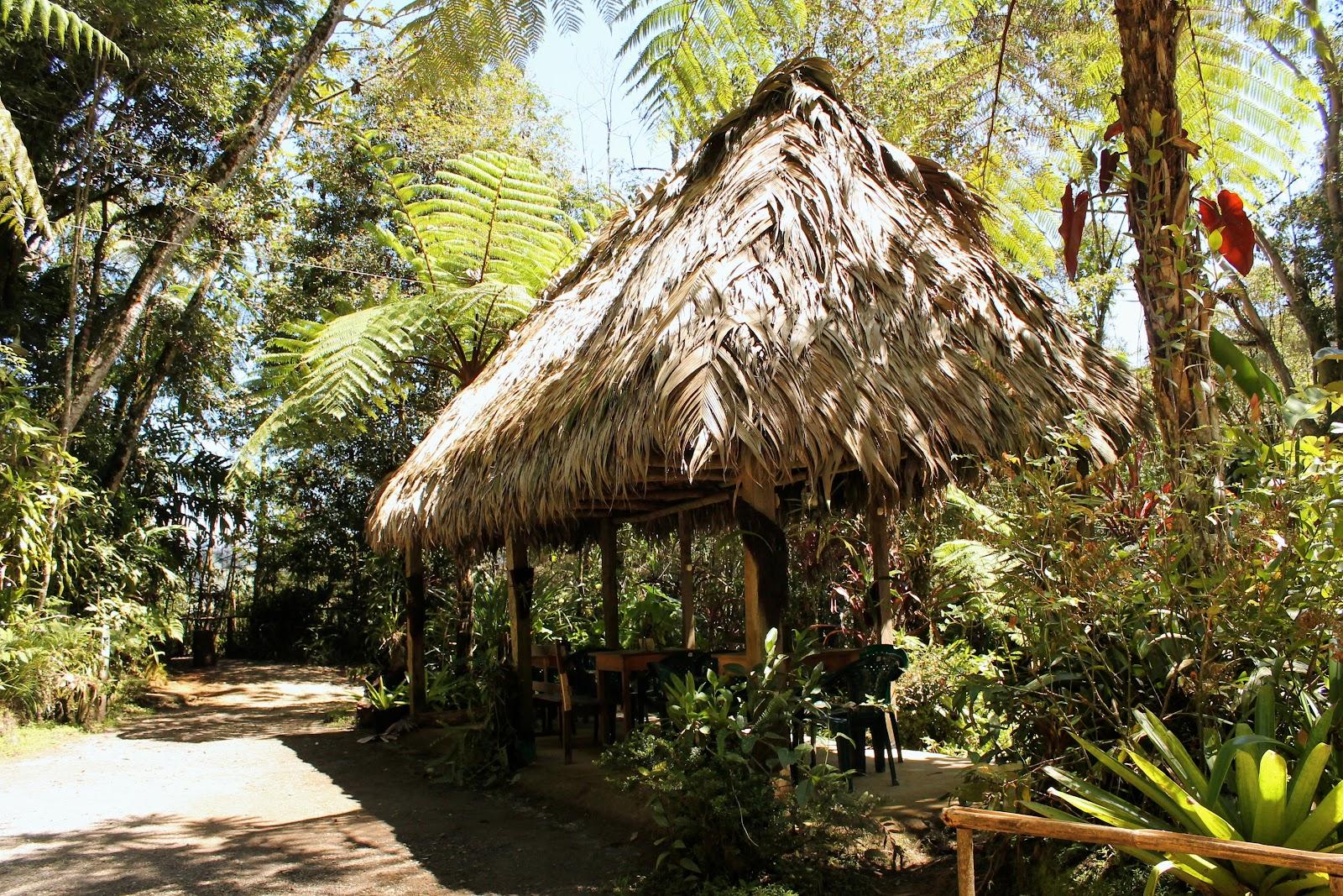 Reserva Natural Ranchitos del Quetzal (Hospedaje, Restaurante, Tours) – photo 3