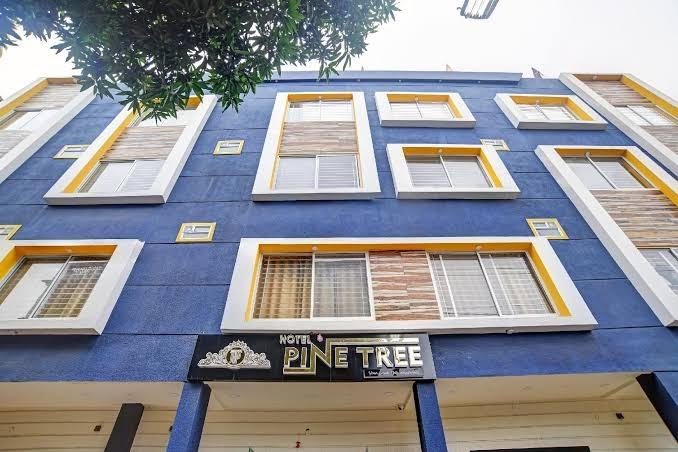 Super Townhouse Pine Tree – photo 1