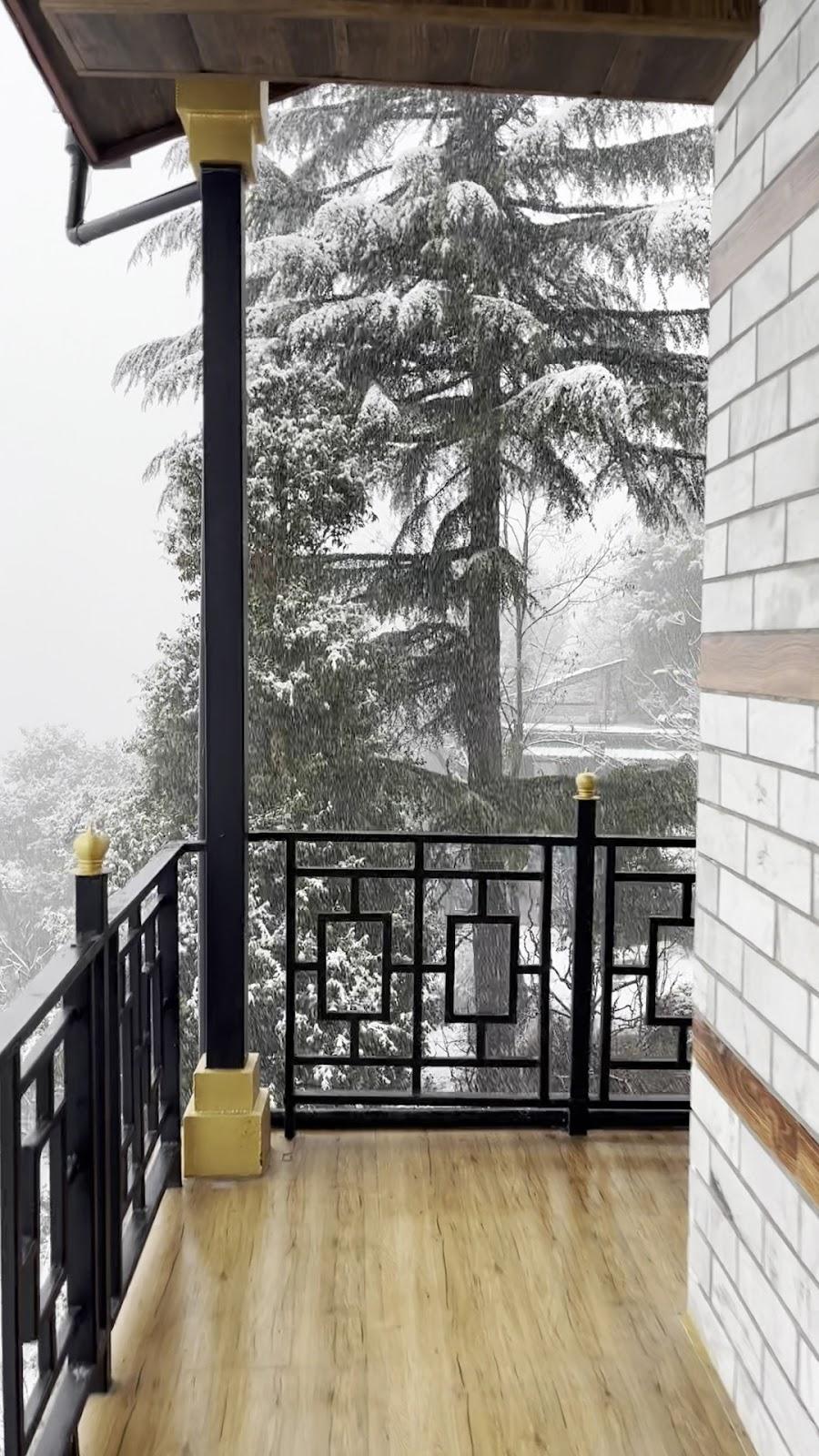 Zostel Manali (Vashisht) – photo 2