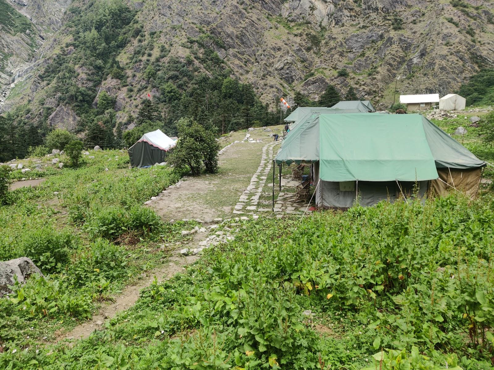 Valley of flowers Camp Ghangria – photo 2