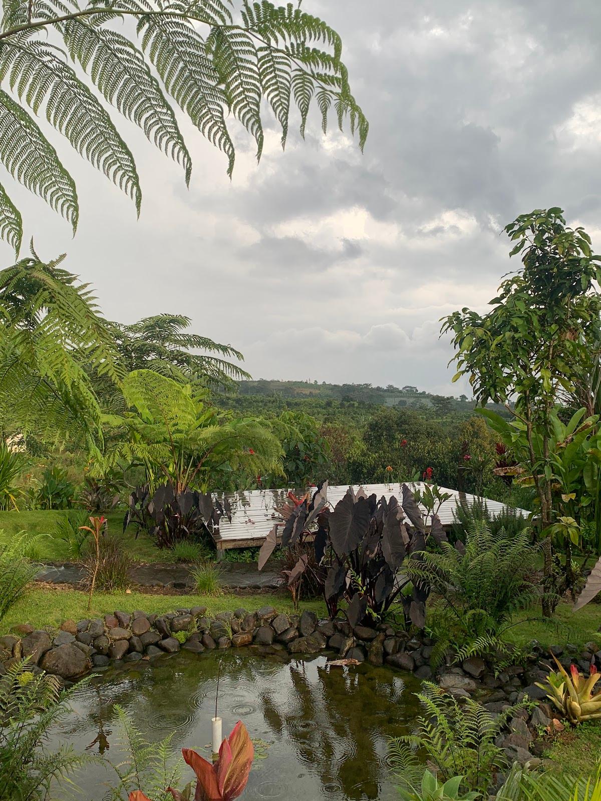 Fern Gully Hideaway – photo 3