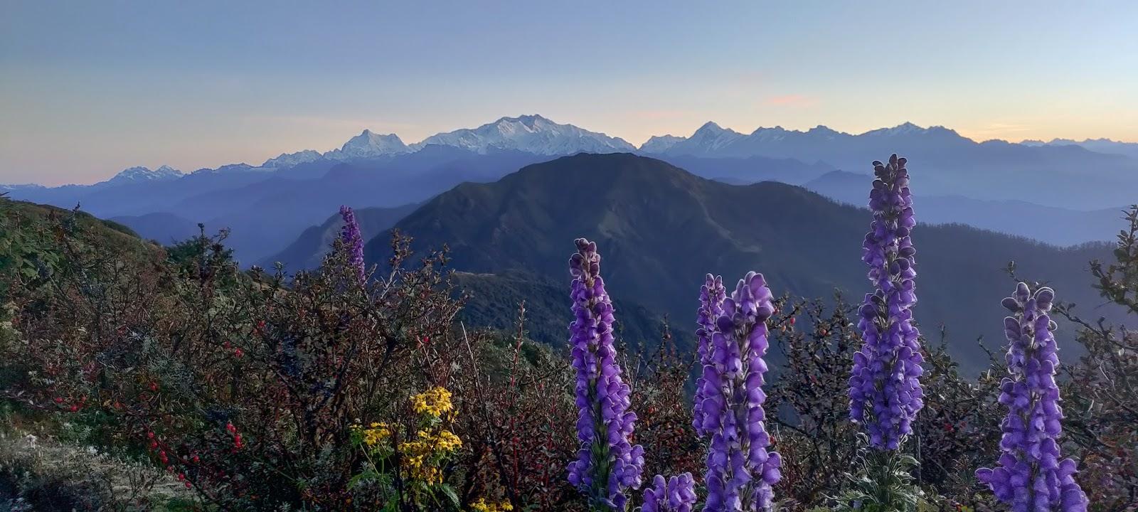 Blue Valley Escape Tours and Treks – photo 1