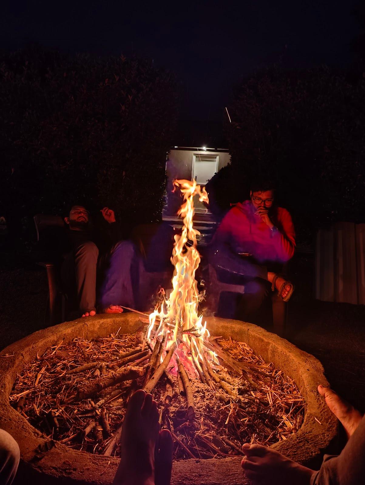 Trippr Chikkamagaluru – photo 4