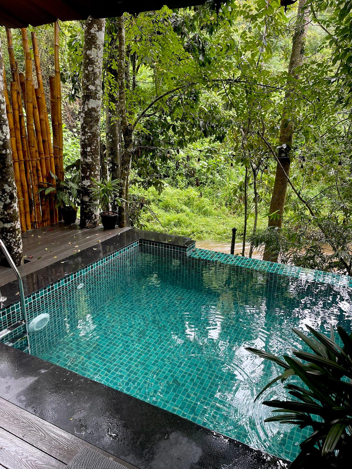 Jungle Beats Resorts – photo 4