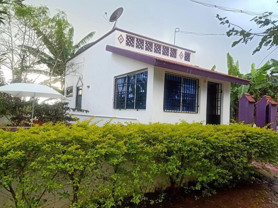 Yelagiri RAM Cottage – photo 3