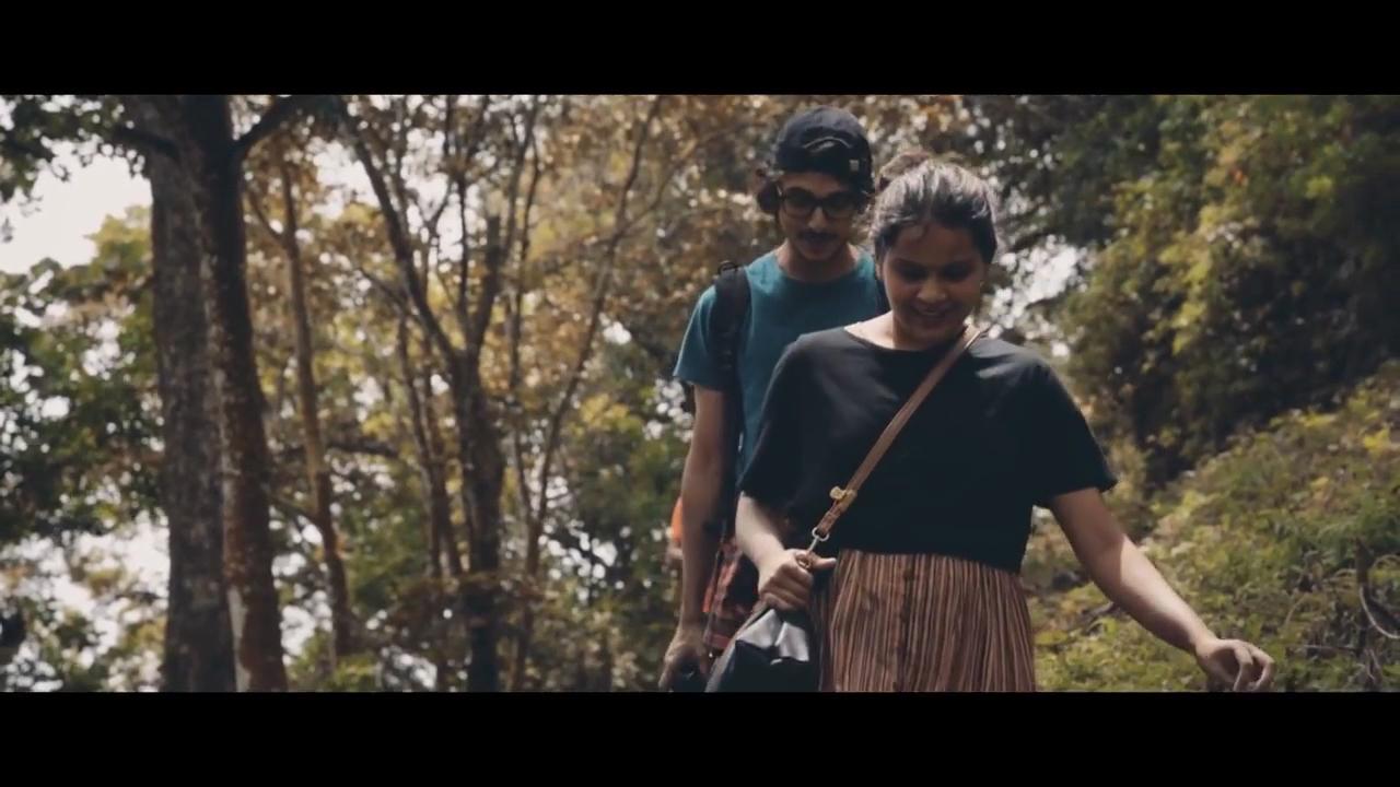 Shola Crown Resort, Munnar – photo 2
