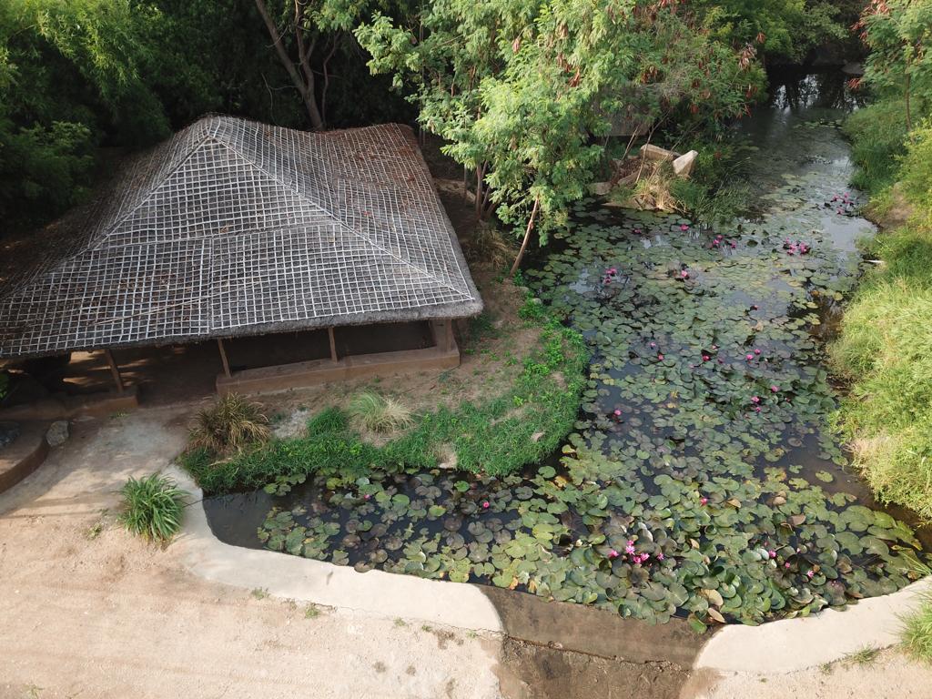 Hampi’s Whiskers Resort – photo 1