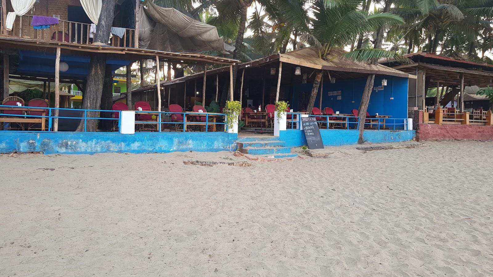 Jardim a Mar – photo 4