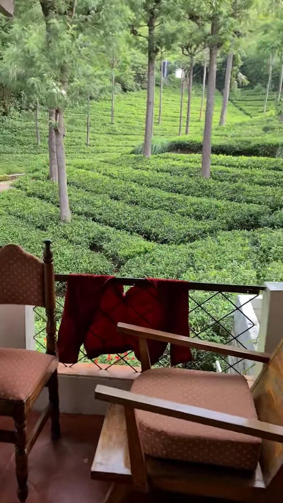 Teanest by Nature Resorts – photo 2