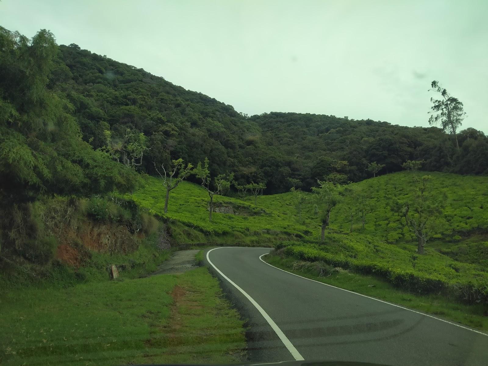 VALLI VALLEY VIEW – photo 4
