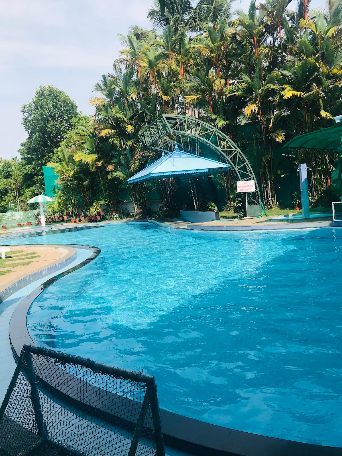 The Renai cochin – photo 4